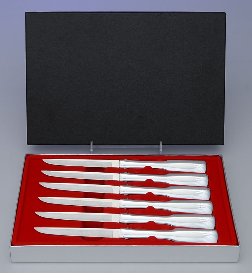 Byfield (Stainless-Cutlery) (Set of 6) Individual Steak Knives & Case by Towle Silver-1