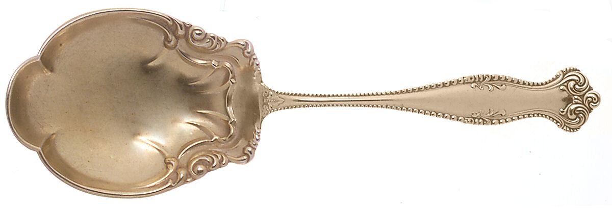 Canterbury (Sterling, 1893) Large Solid Berry/Casserole Spoon by Towle Silver-1