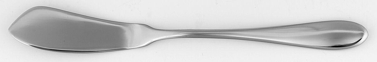 Cirque (Stainless) Flat Handle Master Butter Knife by Towle Silver-1
