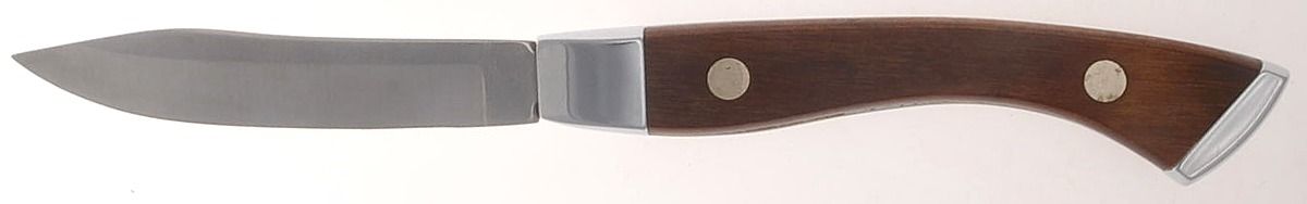 Connoisseur (Stainless, Cutlery) Vehetable Paring Knife by Towle Silver-1