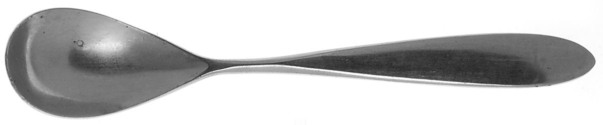Copen (Stainless) Teaspoon by Towle Silver-1