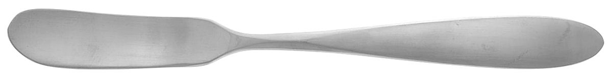 Copen (Stainless) Flat Handle Master Butter Knife by Towle Silver-1