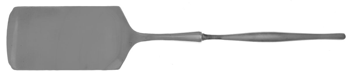 Design 3 (Stainless) Lasagna Server with Stainless Blade HC by Towle Silver-1
