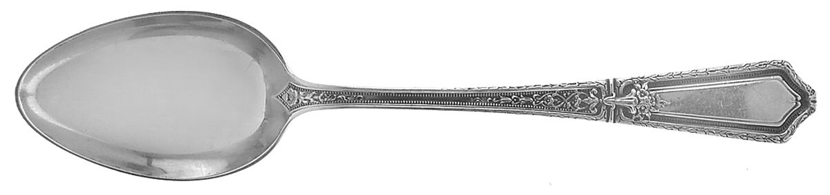 D'Orleans (Sterling, 1923) Teaspoon by Towle Silver-1