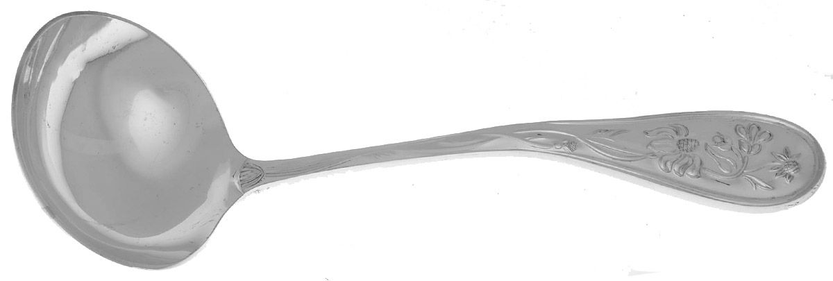 Eden (Silverplate, 1980) Solid Gravy Ladle by Towle Silver-1