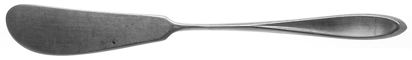 Exeter (Stainless) Flat Handle Butter Spreader by Towle Silver-1
