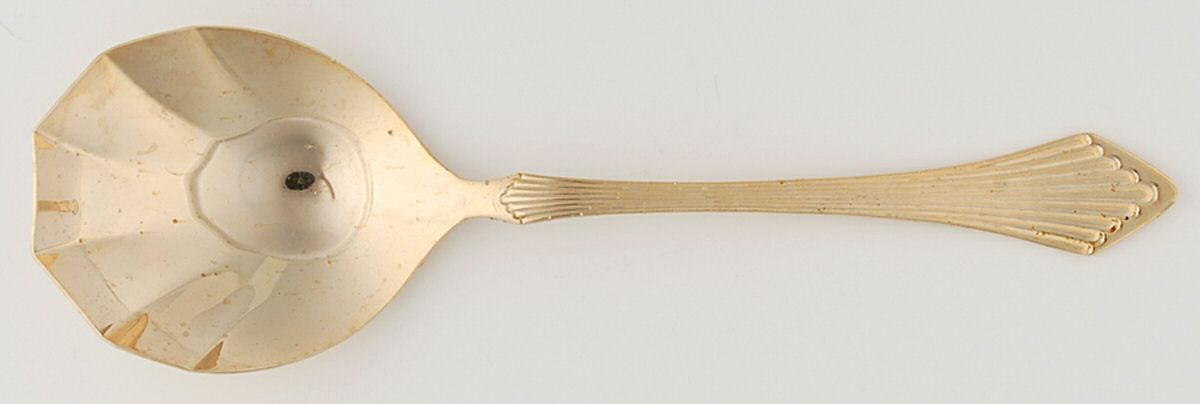 Golden Primavera (Gold Electroplate) Tablespoon (Serving Spoon) by Towle Silver-1