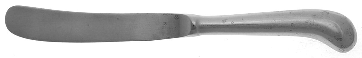 Liberty Bell-Liberty Belle (Stainless) Butter Spreader Hollow Hdl-Paddle/Stainless Blade by Towle Silver-1