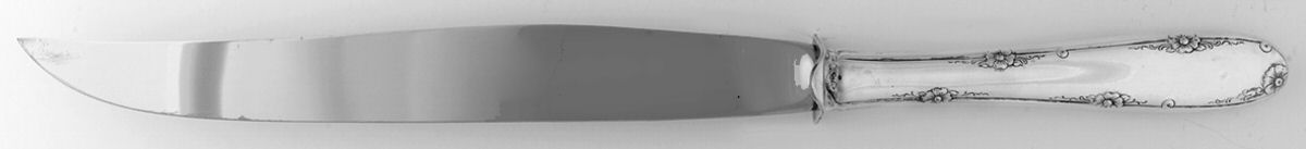 Madeira (Sterling, 1948, No Monograms) Large Stainless Blade Roast Carving Knife by Towle Silver-1
