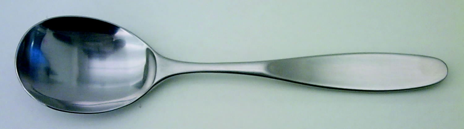Magnum (Stainless, Japan-Korea-Vietnam) Solid Salad Serving Spoon by Towle Silver-1