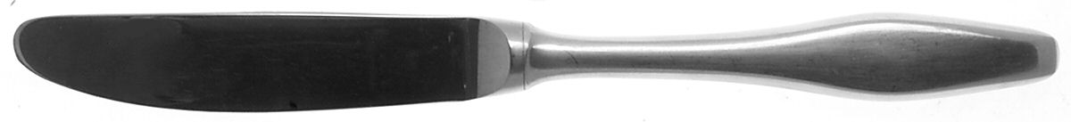 Newburyport (Stainless) Modern Hollow Butter Spreader (Stainless) by Towle Silver-1