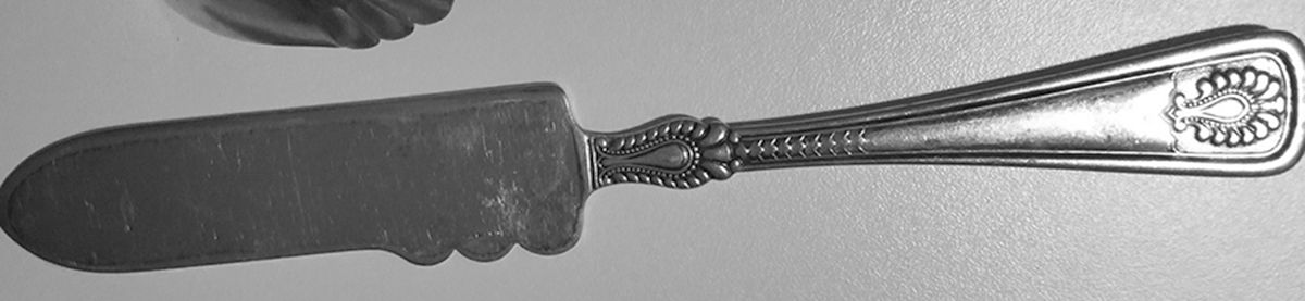 Norwood (Silverplate) Bright Cut Solid Pickle Serving Knife by Towle Silver-1