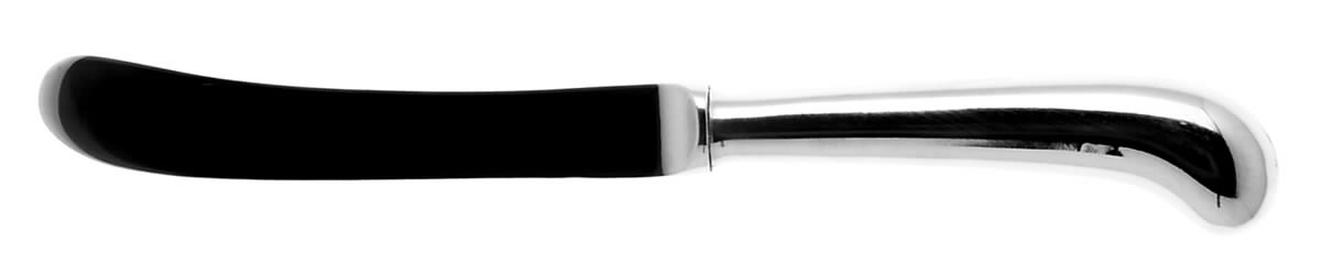 Queen Anne (Stainless) Butter Spreader Hollow Hdl-Paddle/Stainless Blade by Towle Silver-1