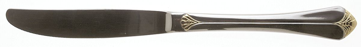 Santa Barbara Gold (Stainless) Modern Solid Knife by Towle Silver-1