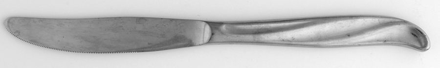 TWS110 (STAINLESS) Modern Solid Knife by Towle Silver-1