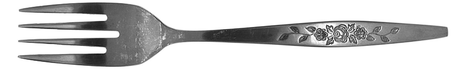 TWS119 (STAINLESS) Fork by Towle Silver-1