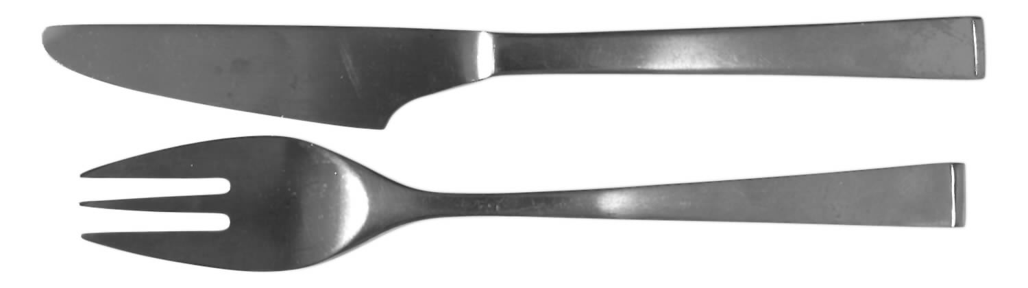 TWS169 (STAINLESS) Fork by Towle Silver-1