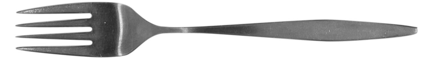 TWS171 (STAINLESS) Fork by Towle Silver-1