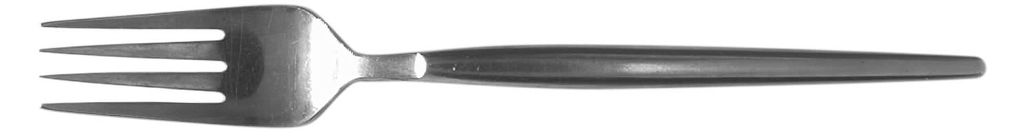 TWS172 (STAINLESS) Fork by Towle Silver-1