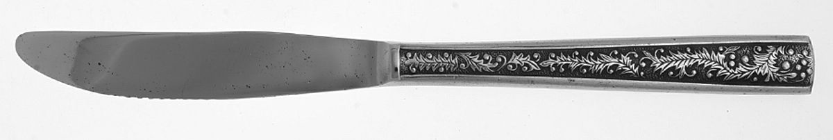 TWS176 (STAINLESS) Modern Solid Knife by Towle Silver-1