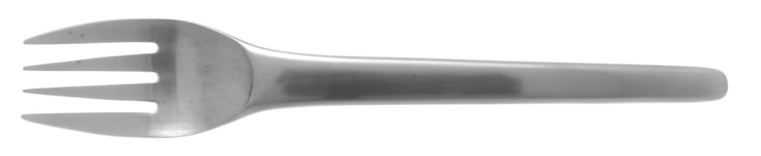 TWS19 (STAINLESS) Individual Salad Fork by Towle Silver-1
