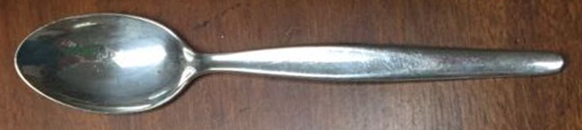 TWS192 (STAINLESS) Teaspoon by Towle Silver-1