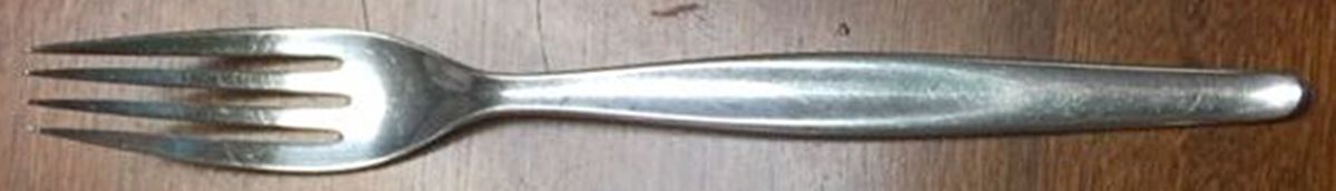TWS192 (STAINLESS) Fork by Towle Silver-1
