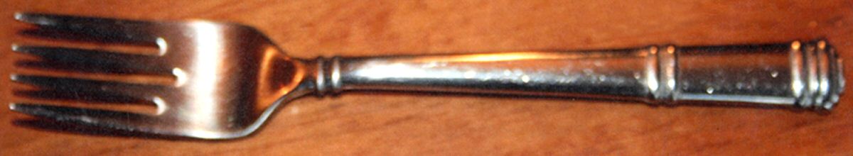 TWS200 (STAINLESS) Individual Salad Fork by Towle Silver-1