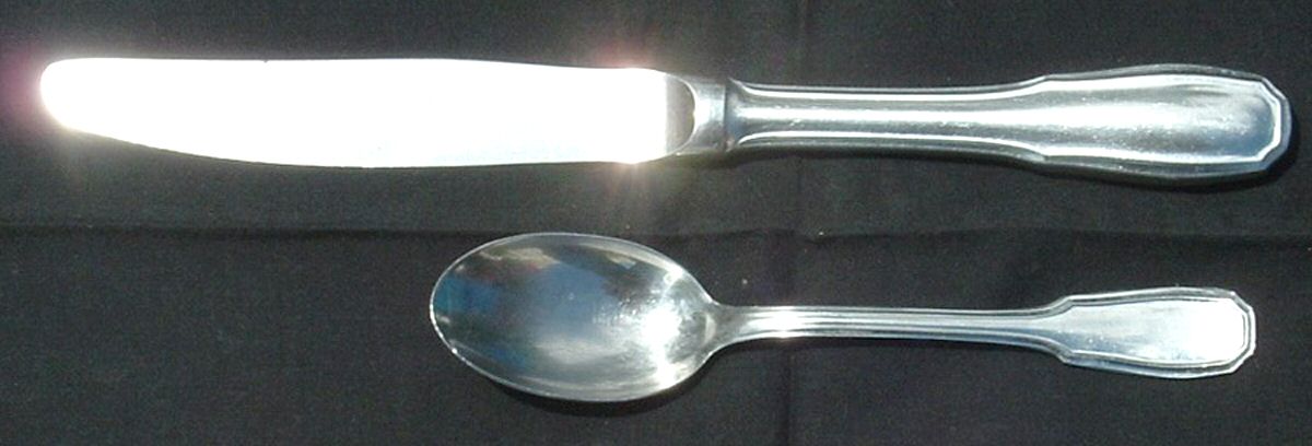 TWS201 (STAINLESS) Teaspoon by Towle Silver-1