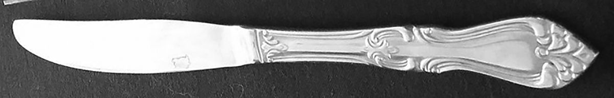 TWS70 (STAINLESS) Modern Solid Knife by Towle Silver-1