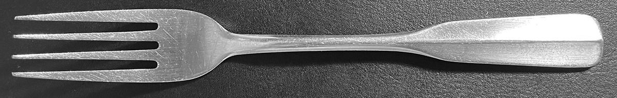 TWS79 (STAINLESS) Fork by Towle Silver-1