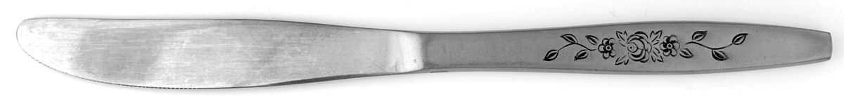 TWS92 (STAINLESS) Modern Solid Knife by Towle Silver-1