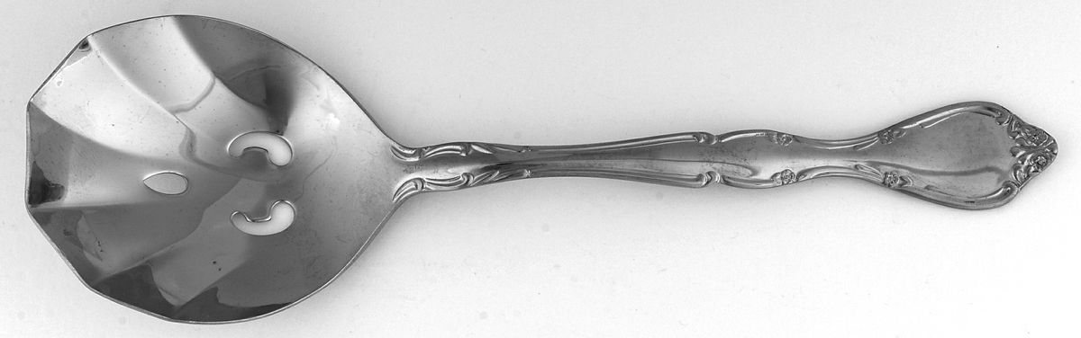 Winter Rose (Stainless) Solid Pierced Casserole Spoon by Towle Silver-1