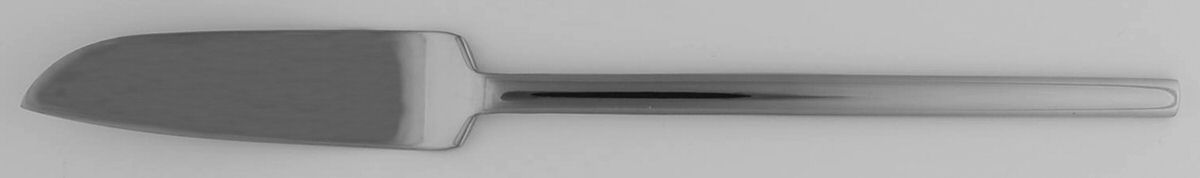 TWS254 Flat Handle Master Butter Knife by Towle Silver-1