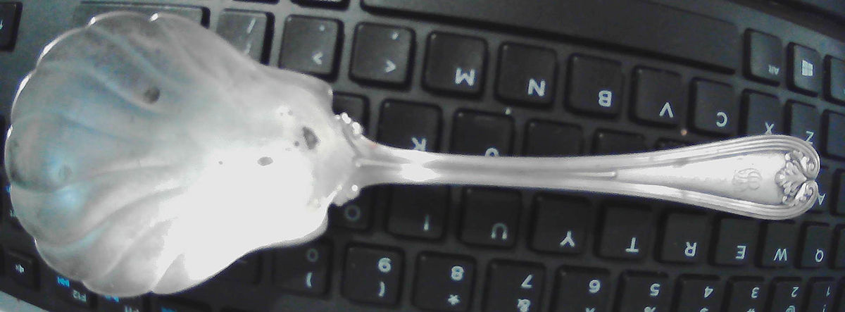 Colonial (Sterling, 1895) Solid Shell Berry/Casserole Spoon by Tiffany & CO SILVER-1