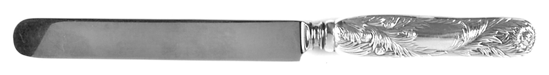 Chrysanthemum (Sterling, 1880, Monograms) Blunt Hollow Table Knife with Bolster by Tiffany & CO SILVER-1