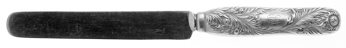 Chrysanthemum (Sterling, 1880, Monograms) Dessert/Tea Knife Hollow Handle Sterling Blade by Tiffany & CO SILVER-1