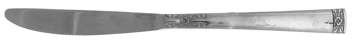 TWS280 (STAINLESS) Modern Solid Knife by Towle Silver-1