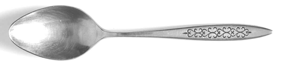 TEX7 (STAINLESS) Teaspoon by Texoma-1