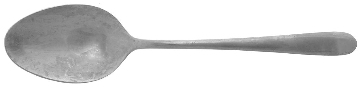 TOT8 (STAINLESS) Tablespoon (Serving Spoon) by Tools of The Trade-1