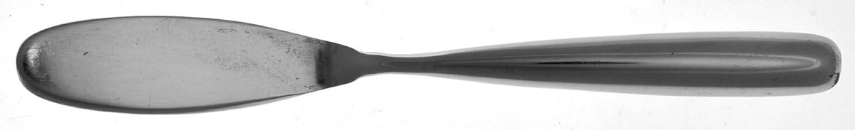 Obispo (Stainless) Flat Handle Master Butter Knife by Trend Pacific-1