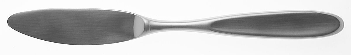 Magnum (Stainless, China) Modern Hollow Knife by Towle Silver-1