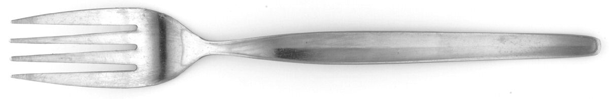 THF5 (Stainless) Fork by THC Flatware-1