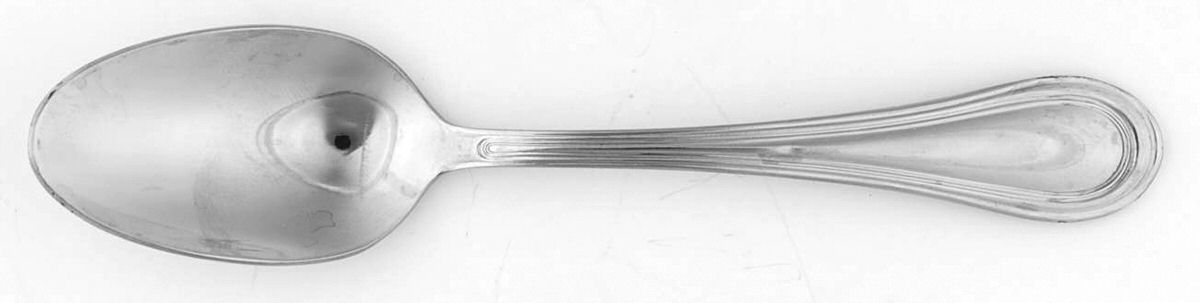 Magnolia (Stainless) Teaspoon by Towle Silver-1