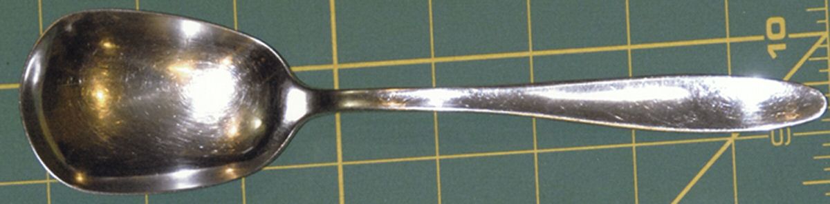 TWS413 (Stainless) Solid Serving Spoon by Towle Silver-1