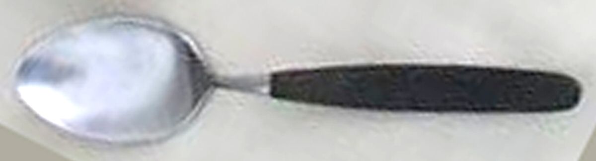 TWS417 (Stainless) Teaspoon by Towle Silver-1