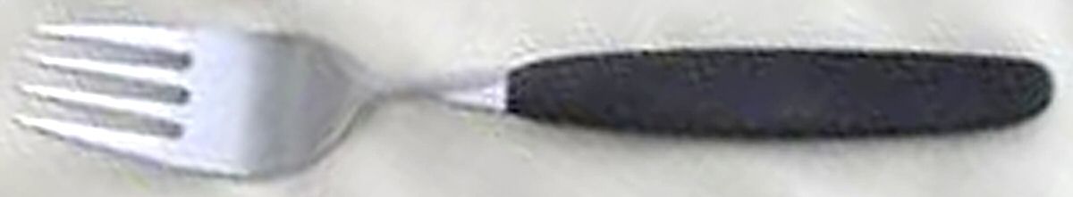 TWS417 (Stainless) Fork by Towle Silver-1