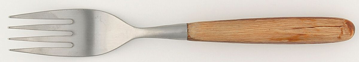 Sienna (Stainless) Fork by Trend Pacific-1