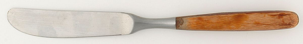 Sienna (Stainless) Modern Hollow Knife by Trend Pacific-1