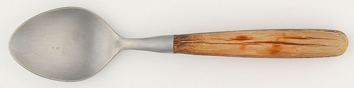 Sienna (Stainless) Teaspoon by Trend Pacific-1